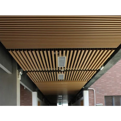 Un buon prezzo. Isolamento acustico per pannelli di soffitto in WPC in linea